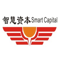 Smart Capital 智慧资本 logo - Similar company to The Northstar Group
