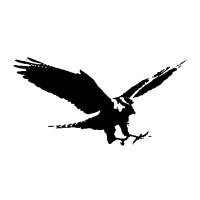 Falco Systems logo - Similar company to Falco Systems