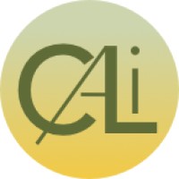 CameraLab.ai logo - Similar company to Image Engineering