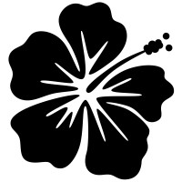 Whiplash Marketing logo - Similar company to The Diverse North