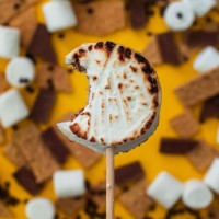 Tuck-Ins Foods, Llc