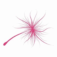 Windflower Resorts & Spa logo - Similar company to College.Dev