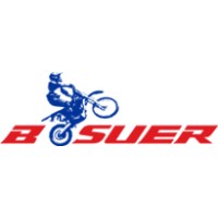 Zhejiang Bosuer Motion Apparatus Co. Ltd logo - Similar company to Grupo Fedeauto