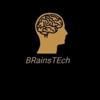 BRainsTEch logo - Similar company to Brains Technology Solutions Inc