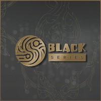 Black Series - Gala & Networking Party logo - Similar company to Turkey Residence Agency