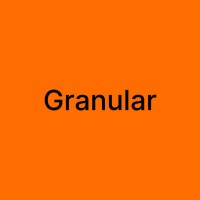 Granular Foundry