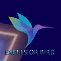 Excelsior Bird Services logo - Similar company to Neptun Srl