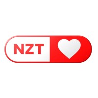 NZT Software FZE LLC logo - Similar company to Shackleton Technologies