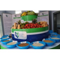 National Irrigation Board