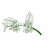 Caturra Coffee Club logo - Similar company to Union Industries