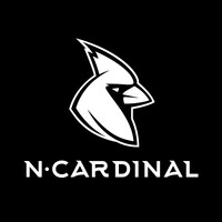NCARDINAL GLOBAL logo - Similar company to Unstopp