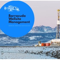 Barracuda Wellsite Management Ltd logo - Similar company to Ramdar Resource Management Ltd.