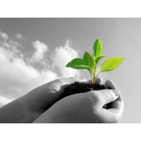 GANA GROWTH CAPITAL logo - Similar company to Solmat