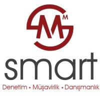 Smart Uluslararası Bağımsız Denetim ve Kurumsal Mali Müşavirlik A.Ş. logo - Similar company to Angora Akademi̇