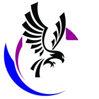 Survoler Consulting logo - Similar company to Datasec Africa