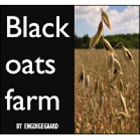 Engdigegaard logo - Similar company to Beacon Behavioural Insights For A Circular Society