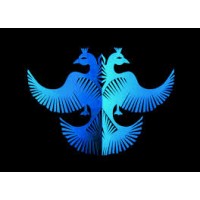 Berunda Capital Management logo - Similar company to Valan Global Solutions