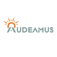 Audeamus logo - Similar company to Ludiverse