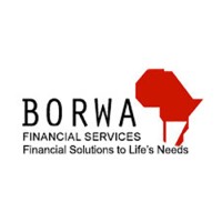 Borwa Financial Services logo - Similar company to Daberistic Financial Services