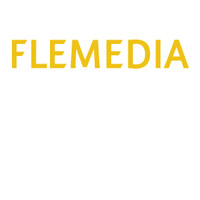 FLEMEDIA logo - Similar company to Dataseed Solutions