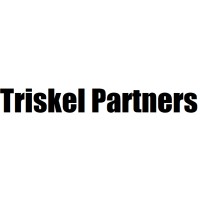 Triskel Partners logo - Similar company to Cameron Partners