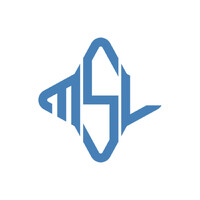 MSL Group logo - Similar company to 88 Custom Software