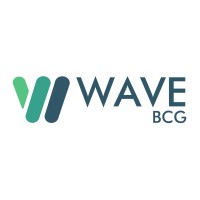 WAVE BCG logo - Similar company to Lo-Carbon Solutionz