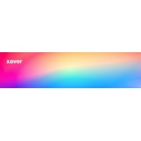 xaver.technology logo - Similar company to Xpectors