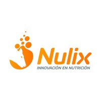 Nulix logo - Similar company to Tecnetik