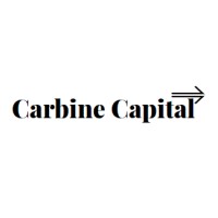Carbine Capital logo - Similar company to Theintern