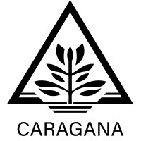 Caragana Bygg AB logo - Similar company to Payvance Ab