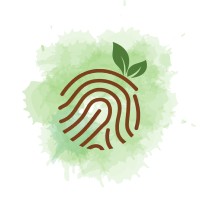 True North logo - Similar company to That Api Company