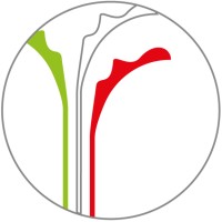 Aurora Azzurra logo - Similar company to Net It Up S.R.L.