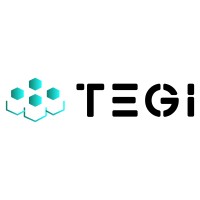 Tegi logo - Similar company to Tegiconnect, Llc
