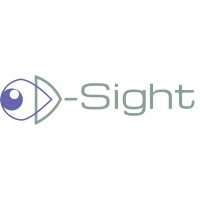 D-Sight S.L. logo - Similar company to Lowerton