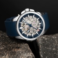 Luxury Brand Watches Texas logo - Similar company to C Rhinos Nft Project