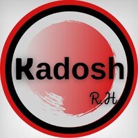 kadosh RH logo - Similar company to 2 Aliancas Armazens Gerais