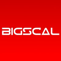 BIGSCAL TECHNOLOGIES Pvt. Ltd. logo - Similar company to Nisyst