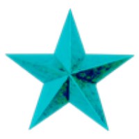 Lone Star Marina logo - Similar company to Resort Homes Group