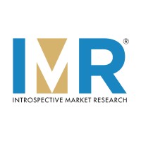 Introspective Market Research logo - Similar company to Pragma Market Research And Business Consulting