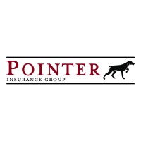 Pointer Insurance Group logo - Similar company to Pointers Insurance Brokers Pvt Ltd