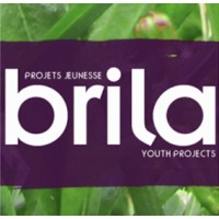 Brila logo - Similar company to Maverick Analytik