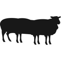 Black Sheep logo - Similar company to Coffee Gator