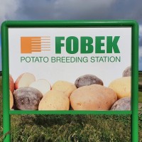 FOBEK BV logo - Similar company to Tuberosum Technologies Inc.