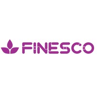 Finesco Consulting Services logo - Similar company to Finescon
