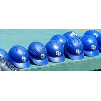 Friends of Salve Baseball, Inc. logo - Similar company to Noblesville Youth Baseball