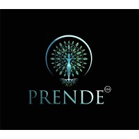 Prende logo - Similar company to Pro Resultat