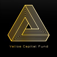 Valios Capital Fund logo - Similar company to Vimaro Homes