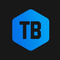 Terabyte logo - Similar company to Baycodingclub