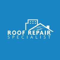 Roof Repair Specialist logo - Similar company to Beamus